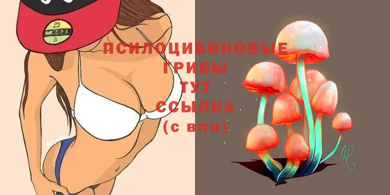 omg как зайти  Рославль  Псилоцибиновые грибы Psilocybe  хочу  